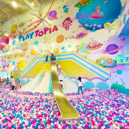 PlayTopia PlayTopia